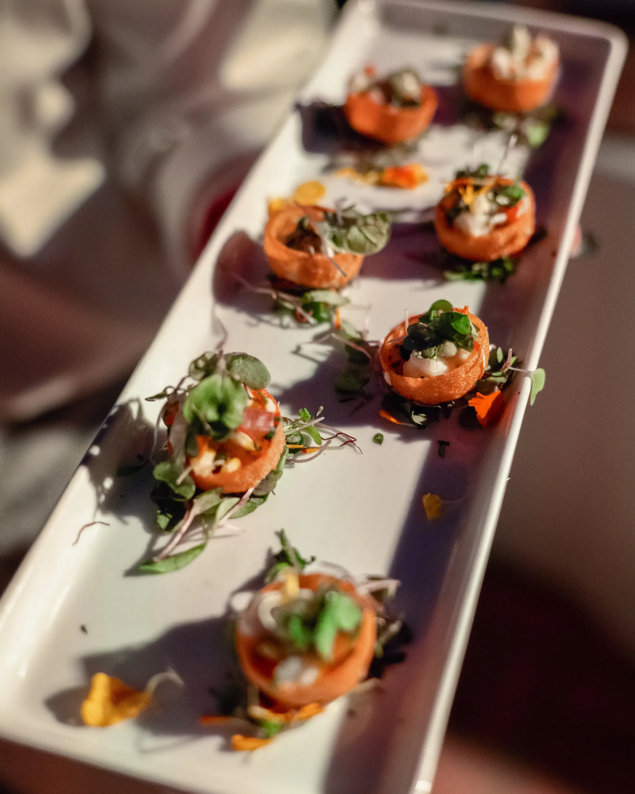 Evening shot under harsh halogen lampposts at the San Marco Centennial Soirée